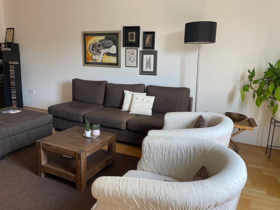 זאגרב Spacious 3Br/2Bt Apartment With A/C In City Center מראה חיצוני תמונה