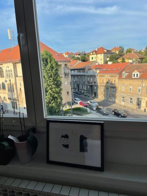 זאגרב Spacious 3Br/2Bt Apartment With A/C In City Center מראה חיצוני תמונה