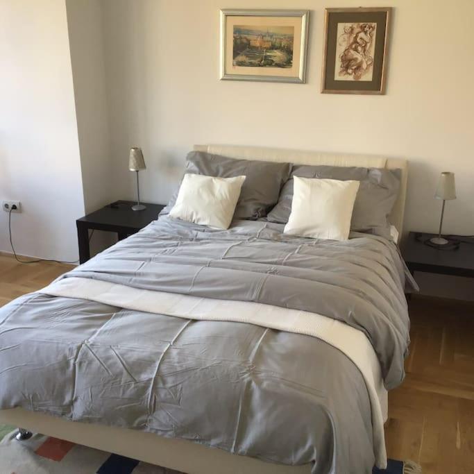 זאגרב Spacious 3Br/2Bt Apartment With A/C In City Center מראה חיצוני תמונה
