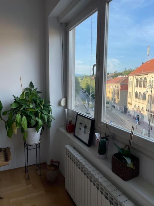 זאגרב Spacious 3Br/2Bt Apartment With A/C In City Center מראה חיצוני תמונה